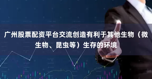 广州股票配资平台交流创造有利于其他生物（微生物、昆虫等）生存的环境